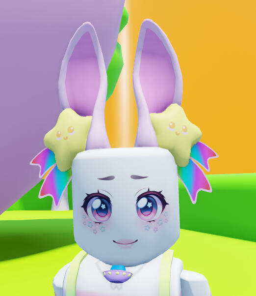 3D Bunny Star Puff Ears