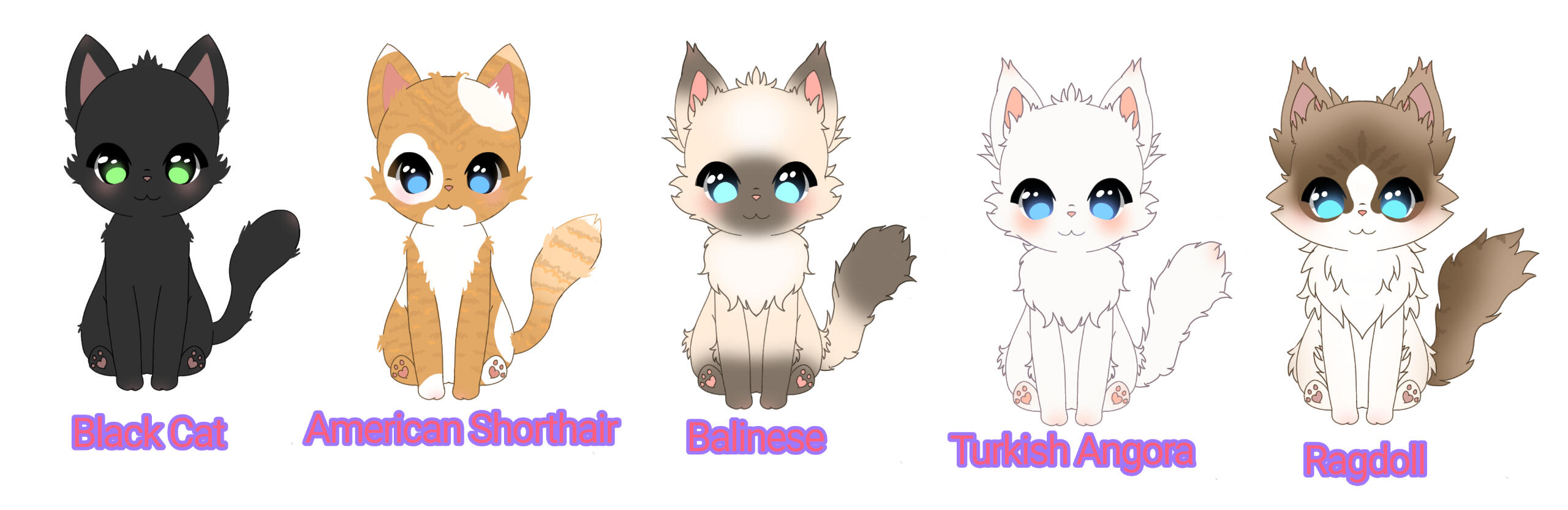 Cat Concepts